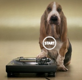beatbox-dog.jpg